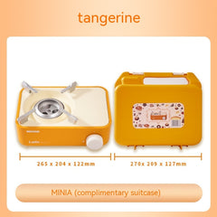 Portable Gas Stove
